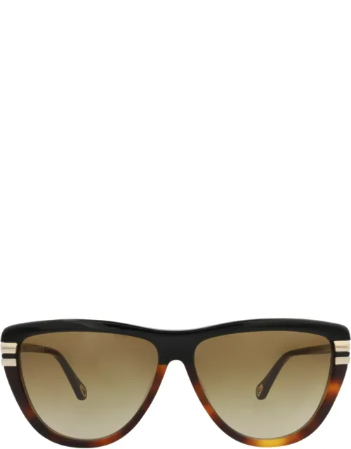 Square-frame Sunglasses