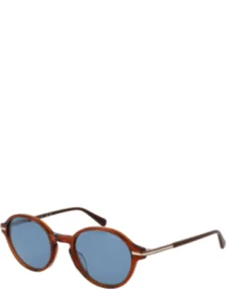 Acetate Sunglasses