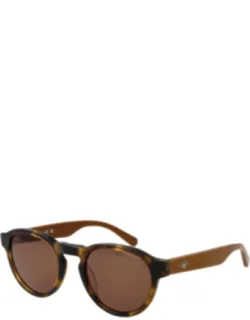 Plastic Sunglasses