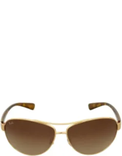 Aviator Sunglasses