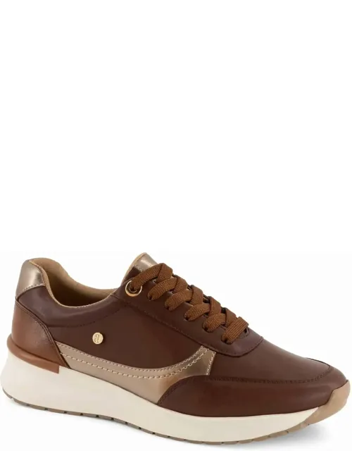 Oxford Sneakers