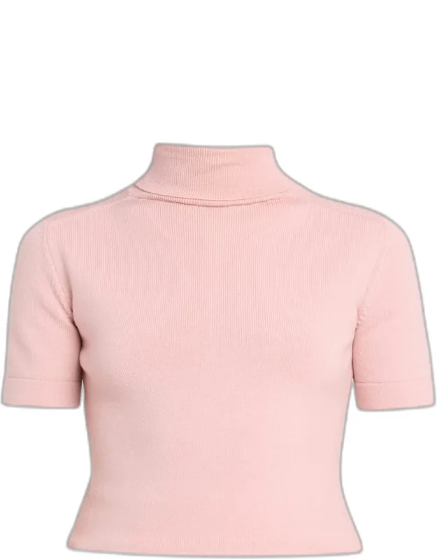 Turtleneck Short-sleeve Sweater