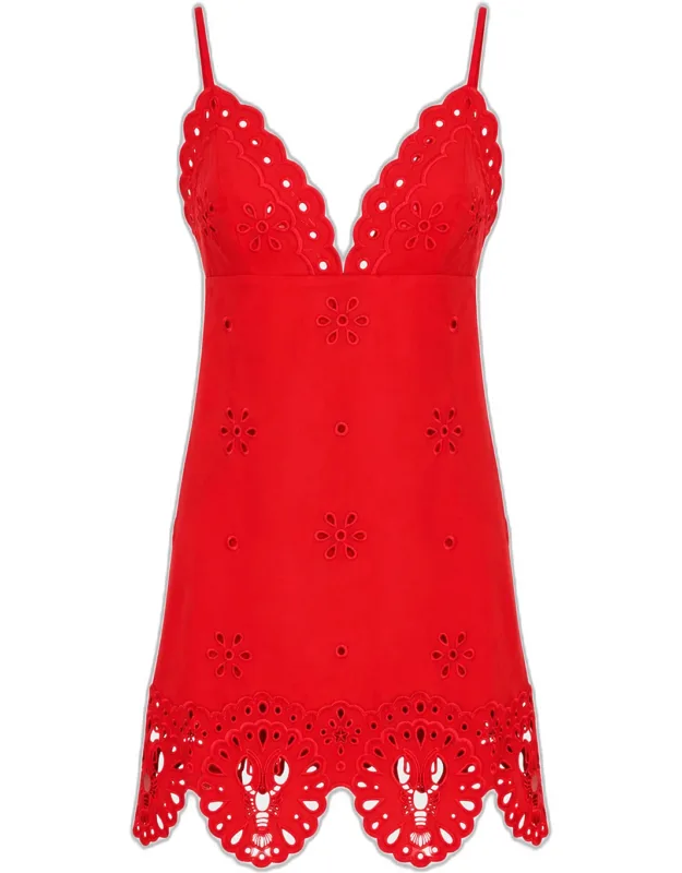 Nebullah Embroidered Mini Dress