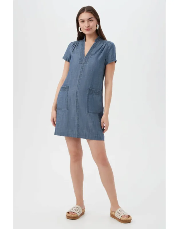 Chambray Dress