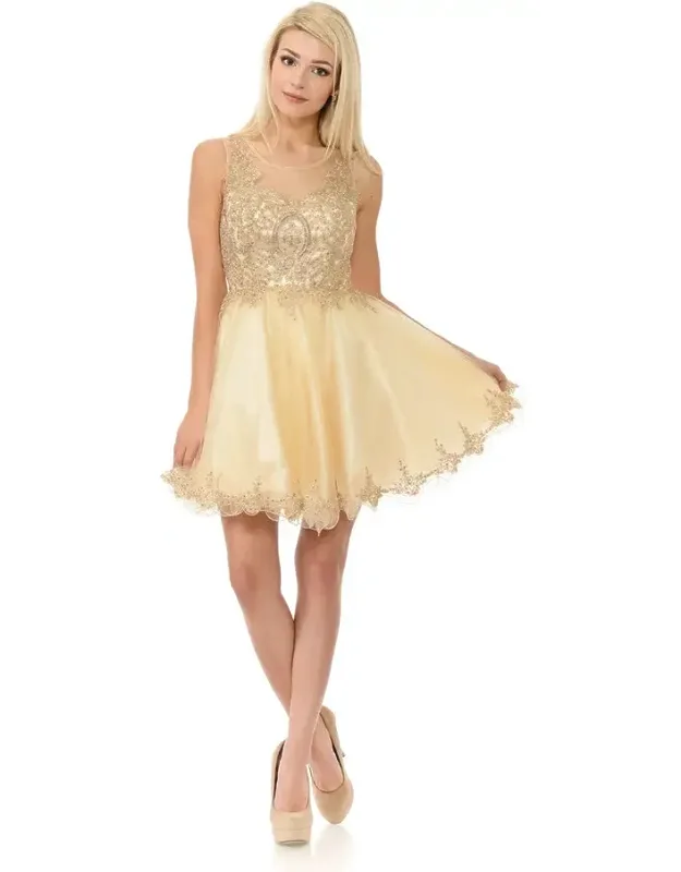 Sleeveless Illusion Neck Embroidered Dress With Tulle Skirt For Parties