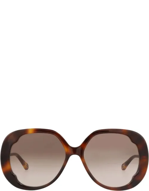 Round-frame Sunglasses