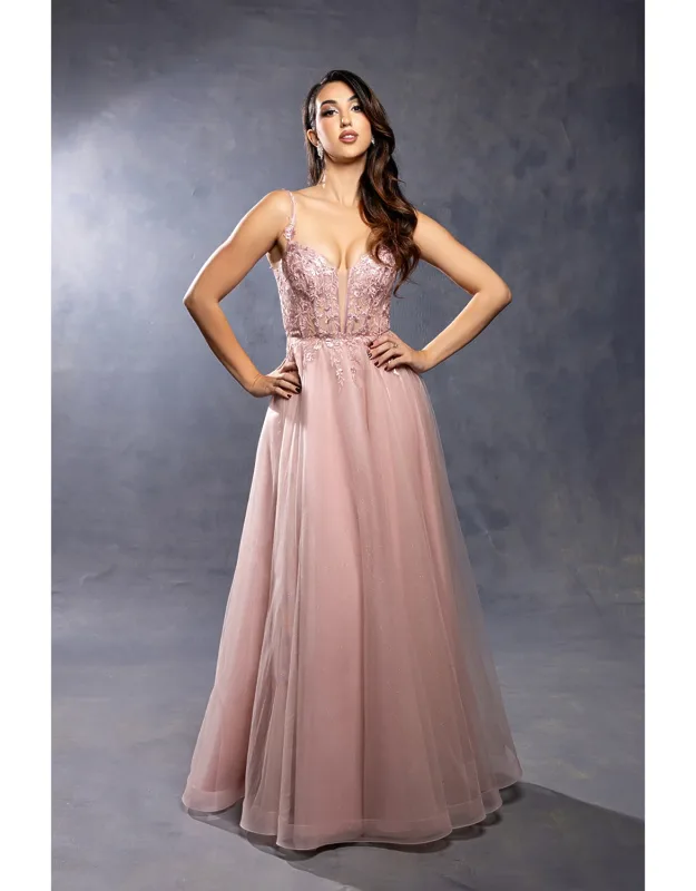 Elegant Lace Corset A-line Tulle Evening Dress With Spaghetti Straps