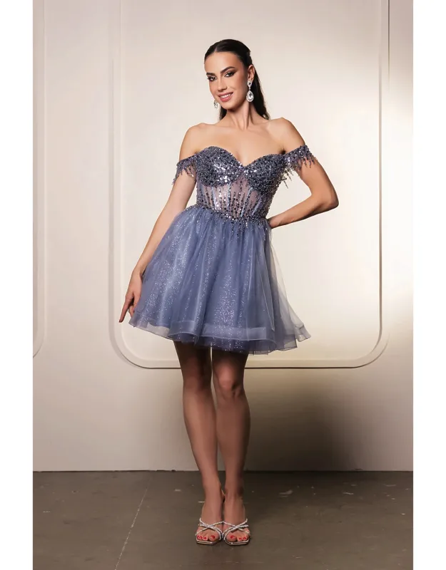 Off Shoulder Sleeveless Dress