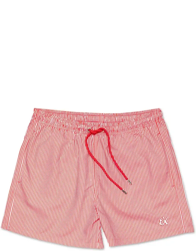 Striped Slim Fit Swim Trunks