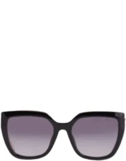 Cat Eye Sunglasses