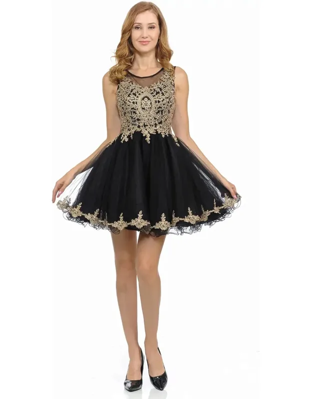 Sleeveless Illusion Neck Embroidered Dress With Tulle Skirt For Parties
