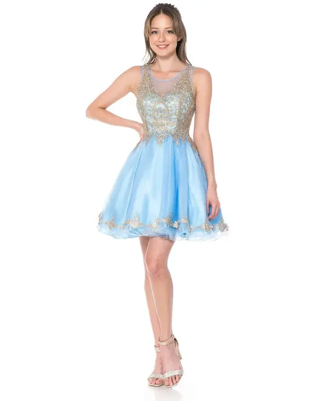 Sleeveless Illusion Neck Embroidered Dress With Tulle Skirt For Parties