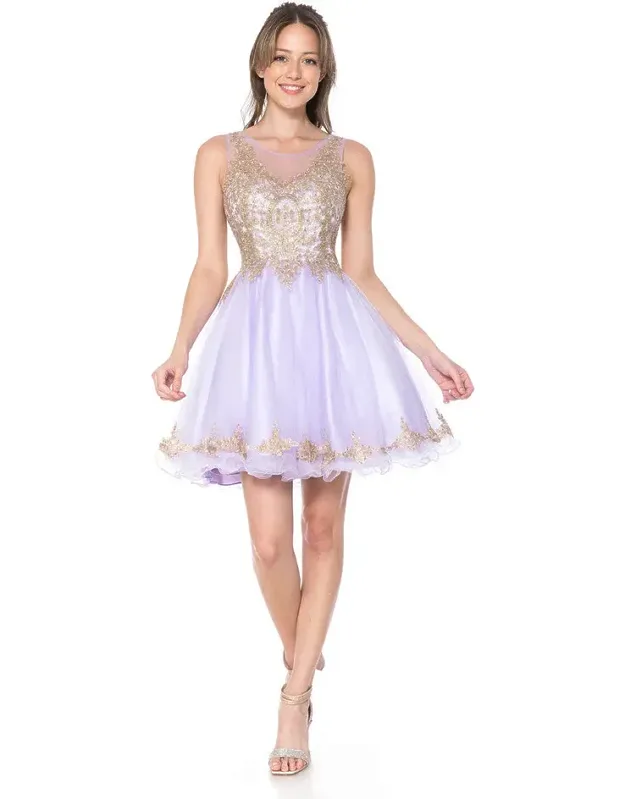 Sleeveless Illusion Neck Embroidered Dress With Tulle Skirt For Parties