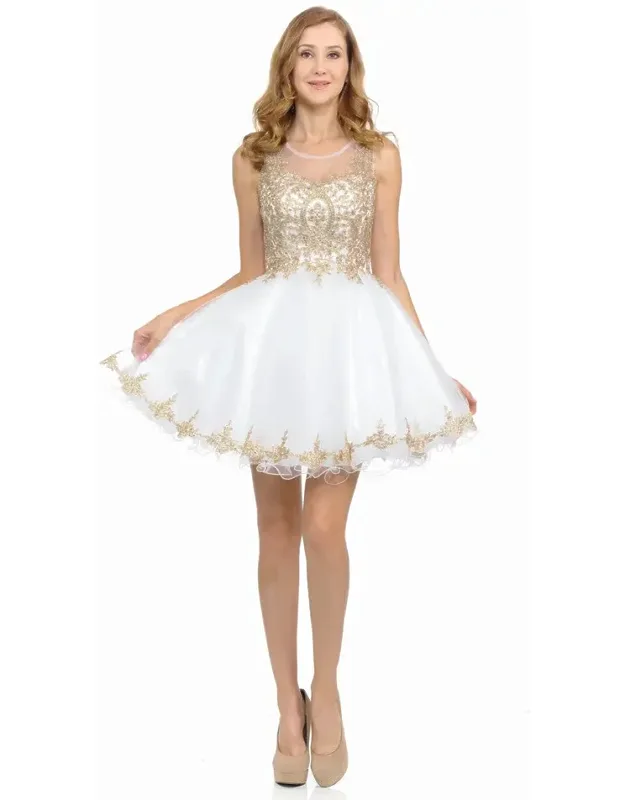 Sleeveless Illusion Neck Embroidered Dress With Tulle Skirt For Parties