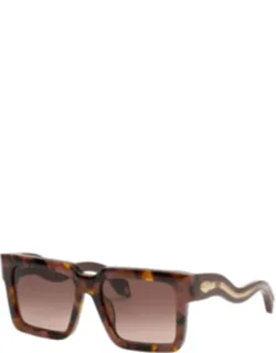 55mm Sunglasses