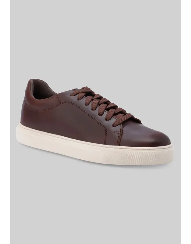 Exeter Sneakers