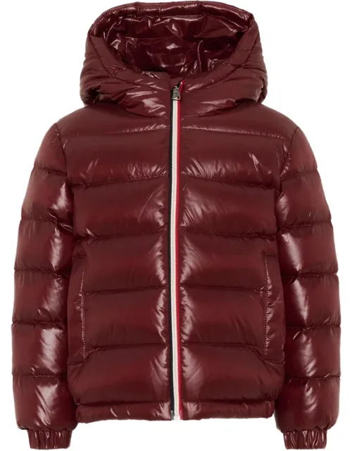 Hooded Padded Jacket