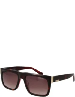 Acetate Sunglasses