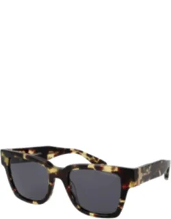 Acetate Sunglasses