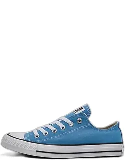 Chuck Taylor All Star Low Top Casual Shoes