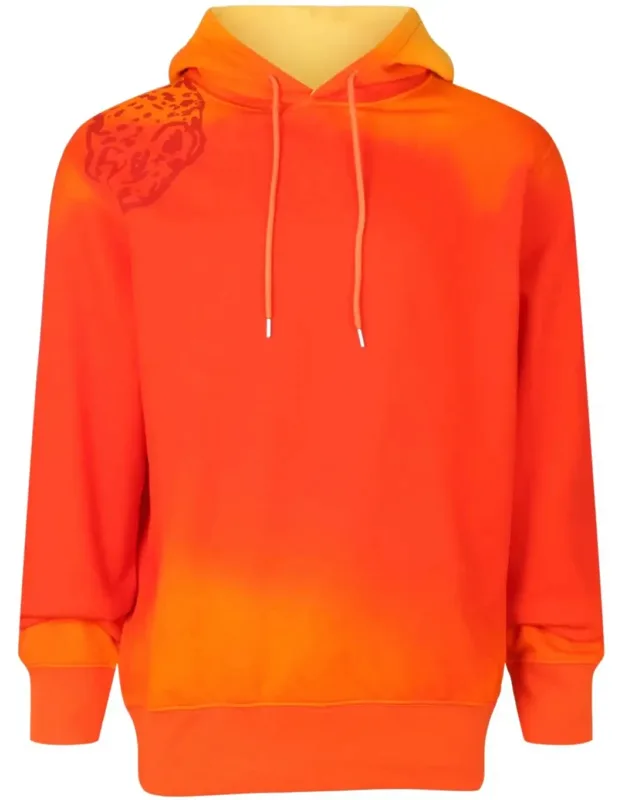 Sunset-print Cotton Hoodie
