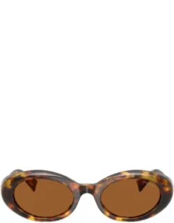 Havana Acetate Oval Sunglasses