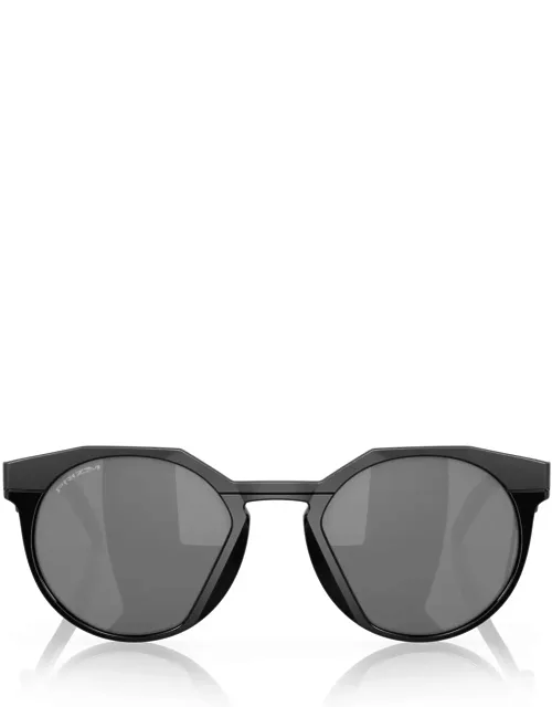 Injected Round Sunglasses