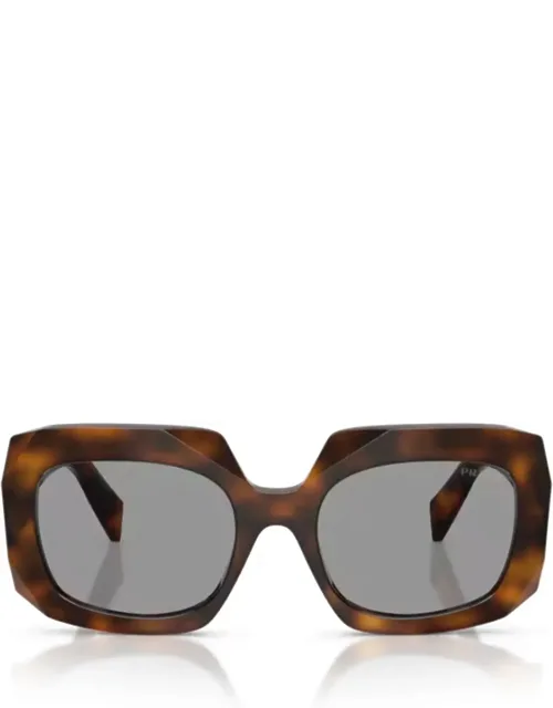 Tortoise Square Sunglasses