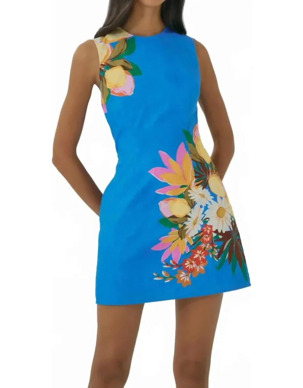 Janesta Dress