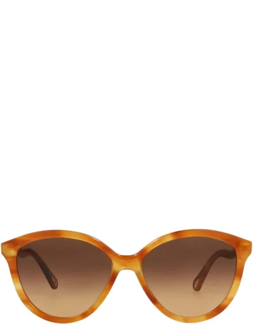 Round-frame Sunglasses With 145mm Temple Length And 57mm Lens Width