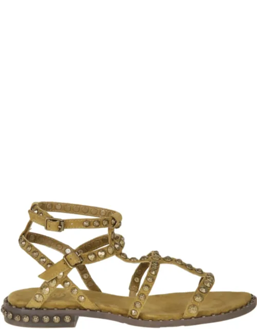 Precious Flat Suede Sandals