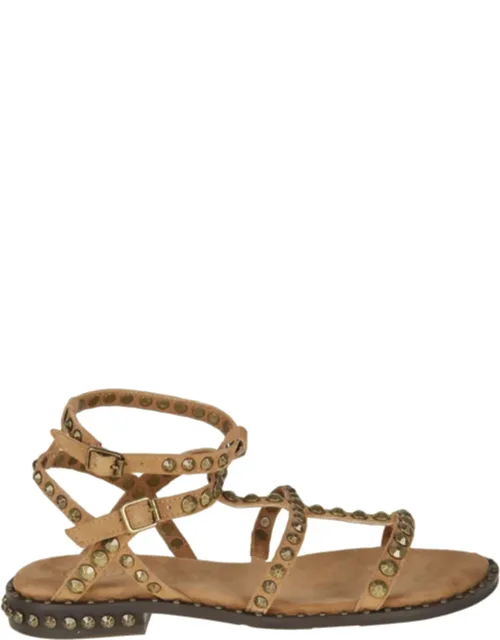 Precious Suede Flat Sandals