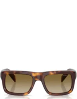Havana Acetate Rectangular Sunglasses