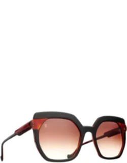 Niva Acetate Square Sunglasses