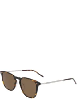 Celluloid Metallic Sunglasses