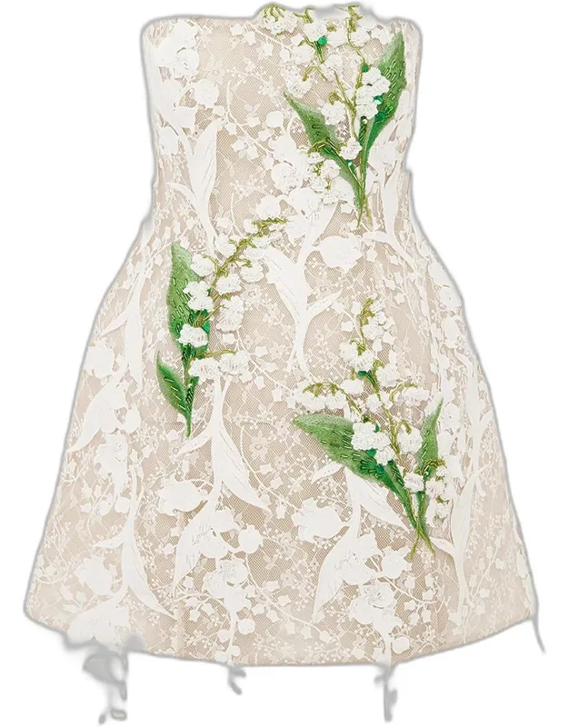 Roselle Strapless Fit-&-flare Lace Mini Dress