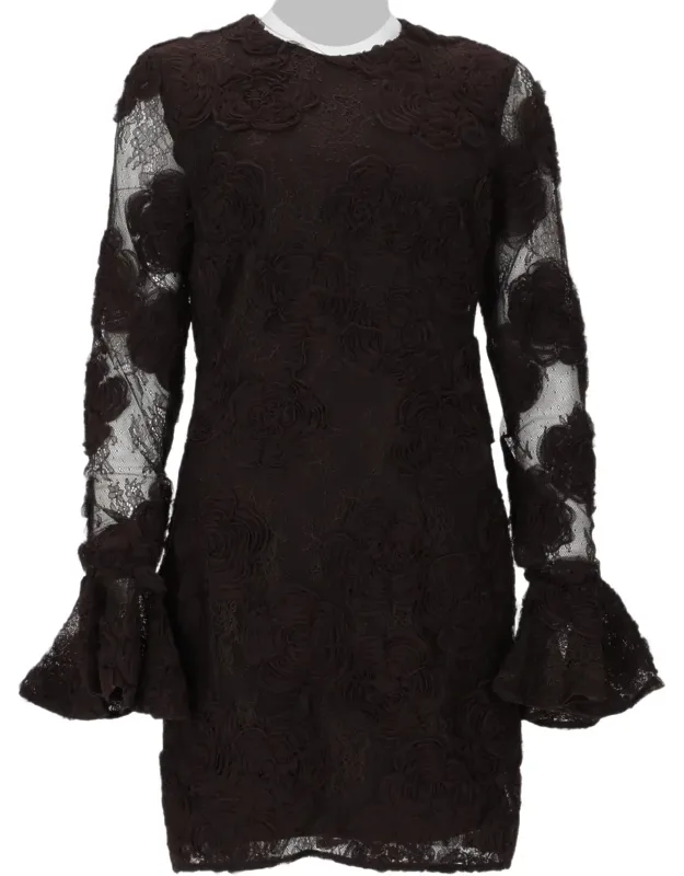 Mini Dress With 3d Floral Lace Detailing And Sheer Sleeves