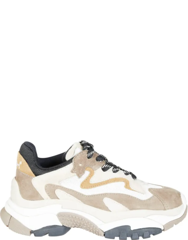 Chunky Suede Mesh Sneakers