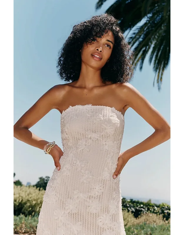 Embroidered Net Dress