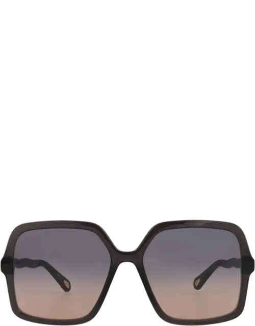 Square-frame Bio Acetate Sunglasses With Protective Case And Cleaning Cloth