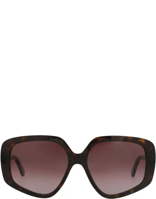 Square-frame Sunglasses With Saddle Nose Bridge And Protective Case