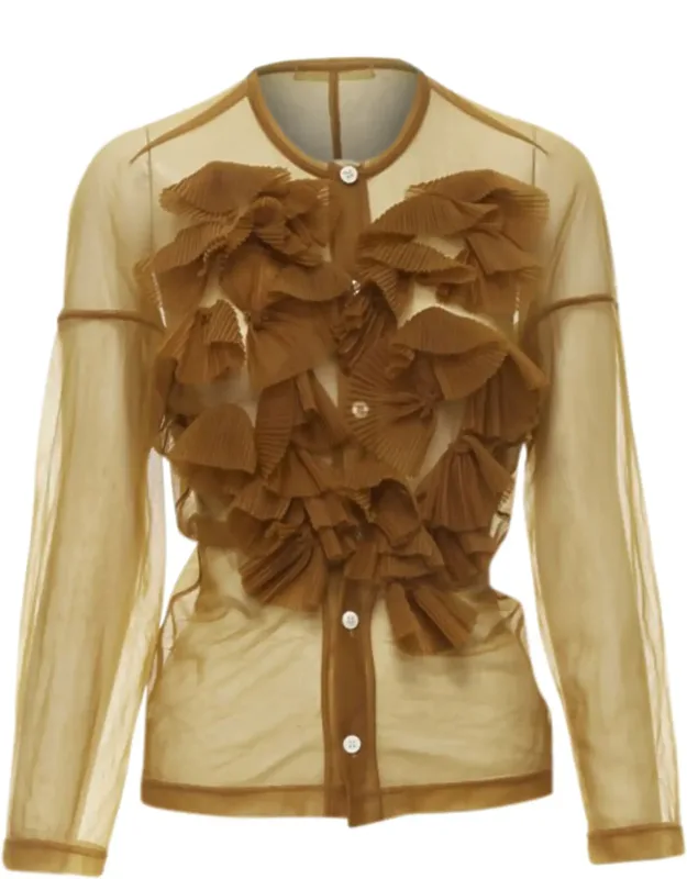Sheer Pleated Ruffle Button Front Shirt