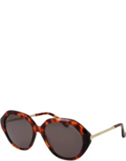 Acetate Sunglasses