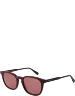 Acetate Sunglasses