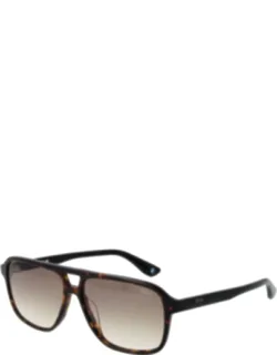 Acetate Sunglasses