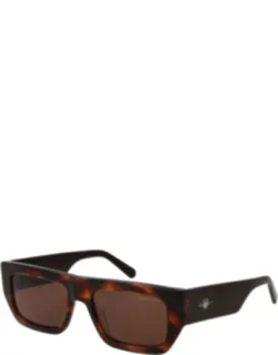 Plastic Sunglasses