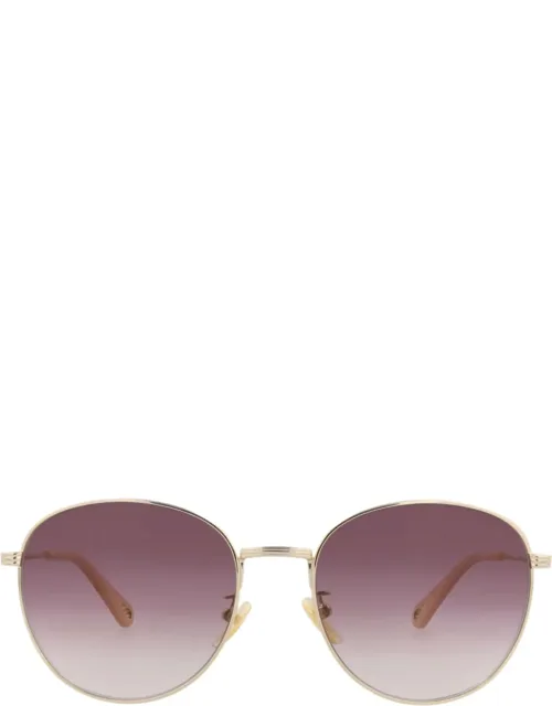 Round-frame Sunglasses With Protective Case And Cleaning Cloth