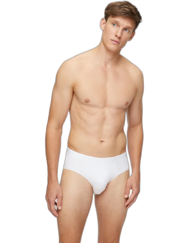 Briefs